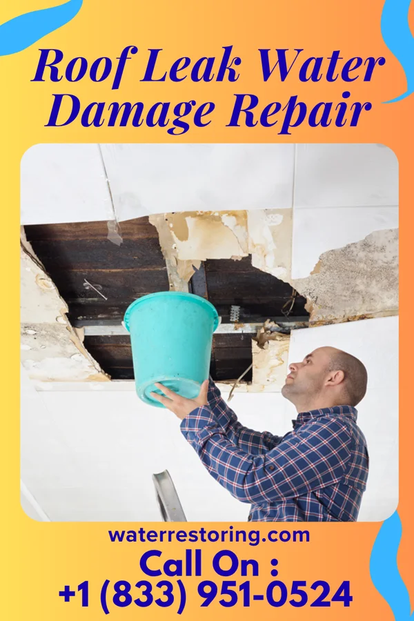 Roof Leak Water Damage Repair in Chireno, TX
